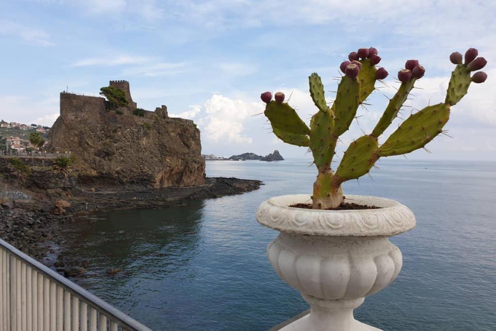 Casa Alessia Διαμέρισμα Aci Castello Εξωτερικό φωτογραφία